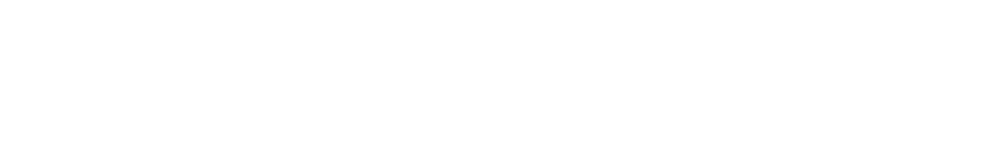 Digital Notary logo